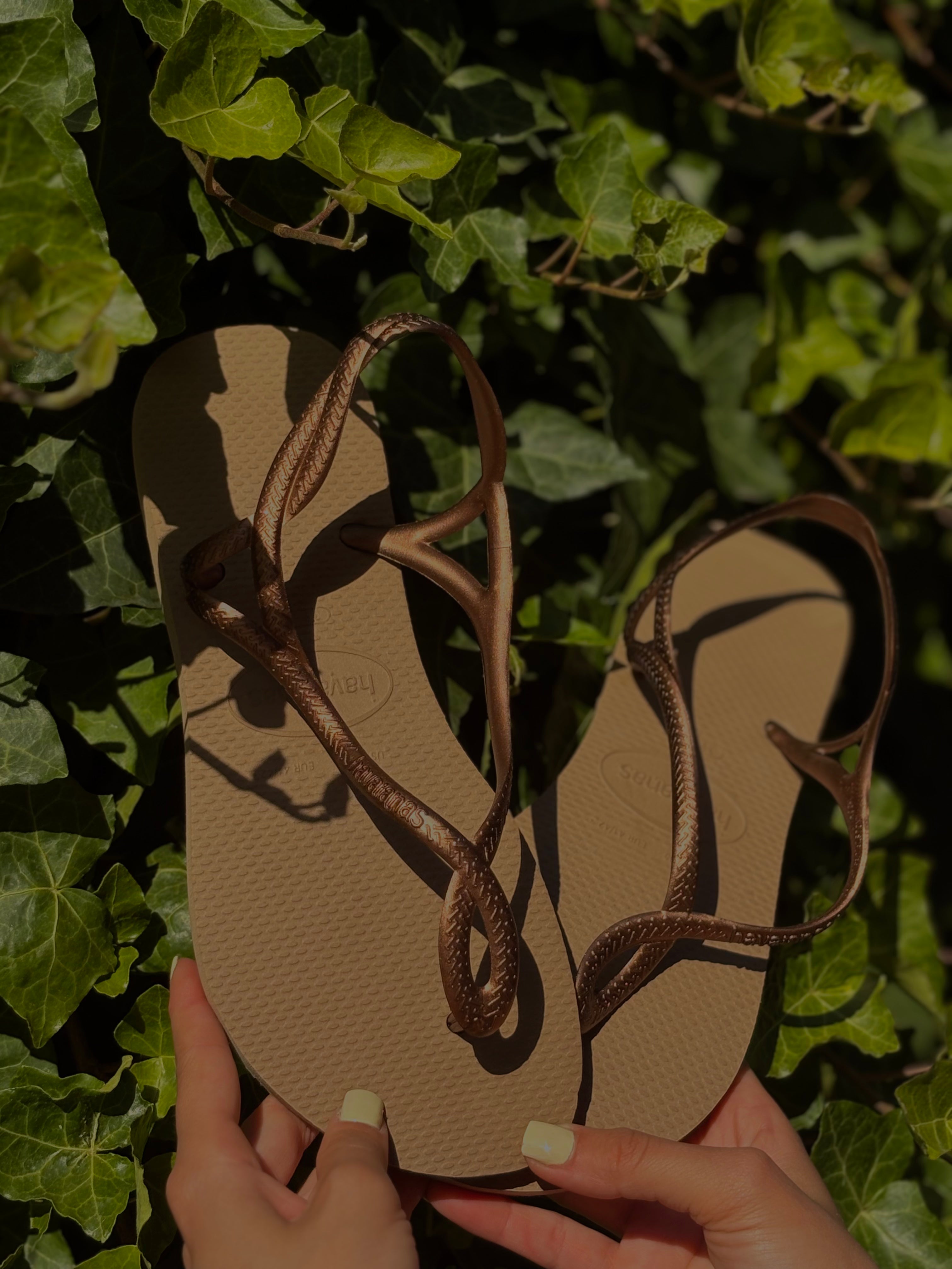 infradito havaianas