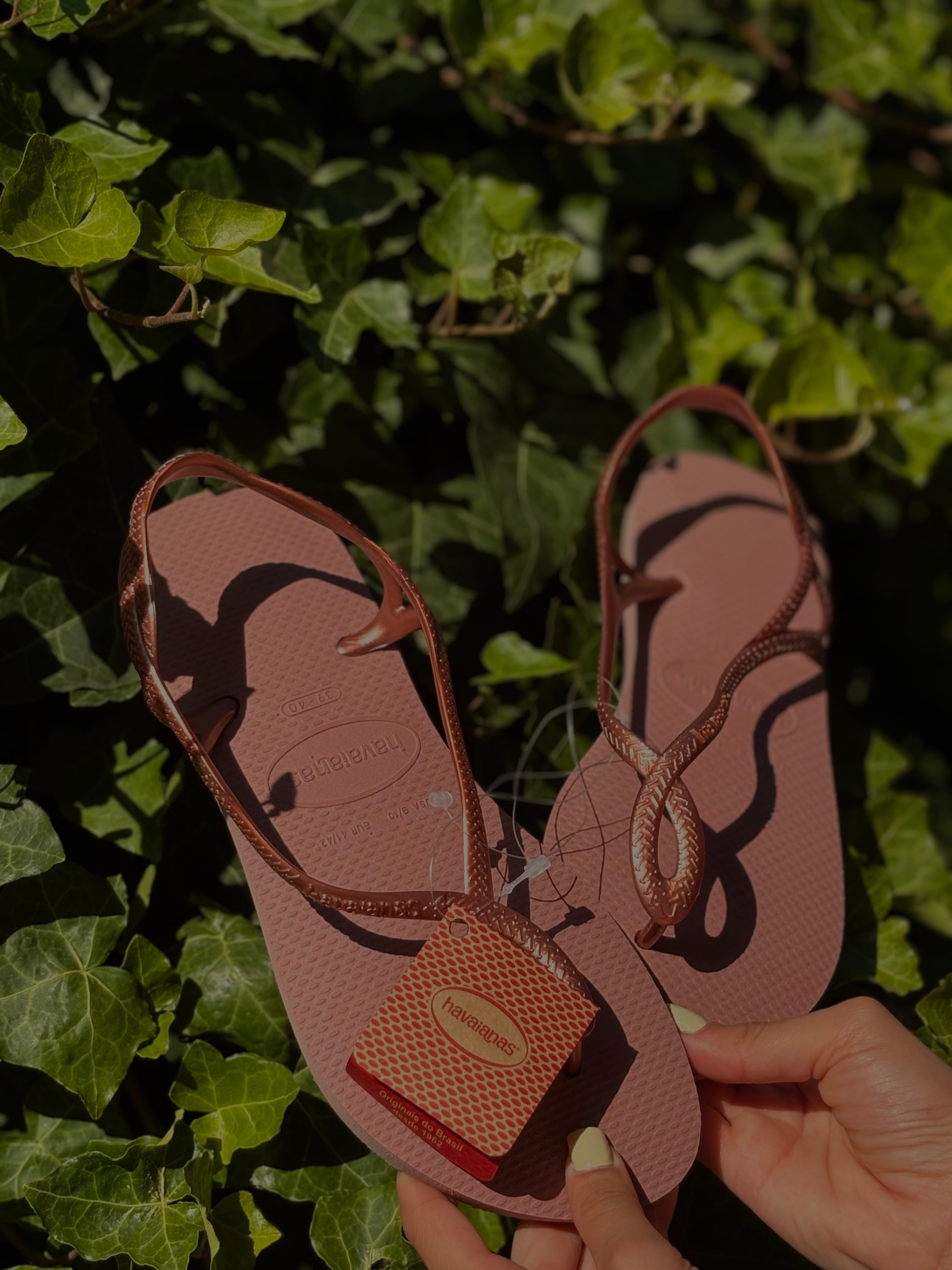 infradito havaianas