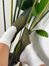 Slipper Santy