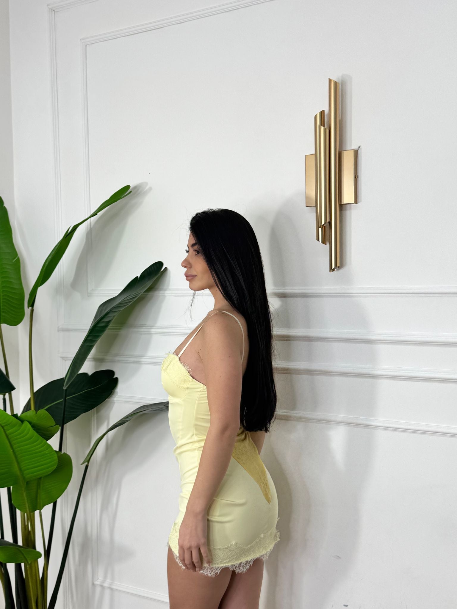 Dress holly